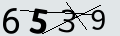 verifycode